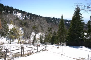 View Looking South in Winter (21)